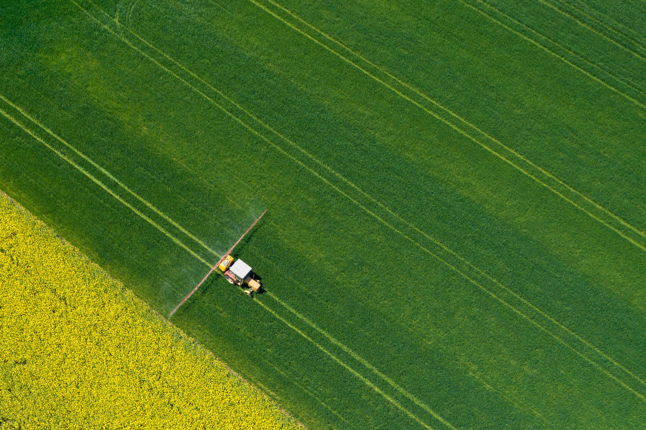 Aerial view of farming tractor plowing and spraying on field.  Agriculture. View from above. Photo captured with drone.