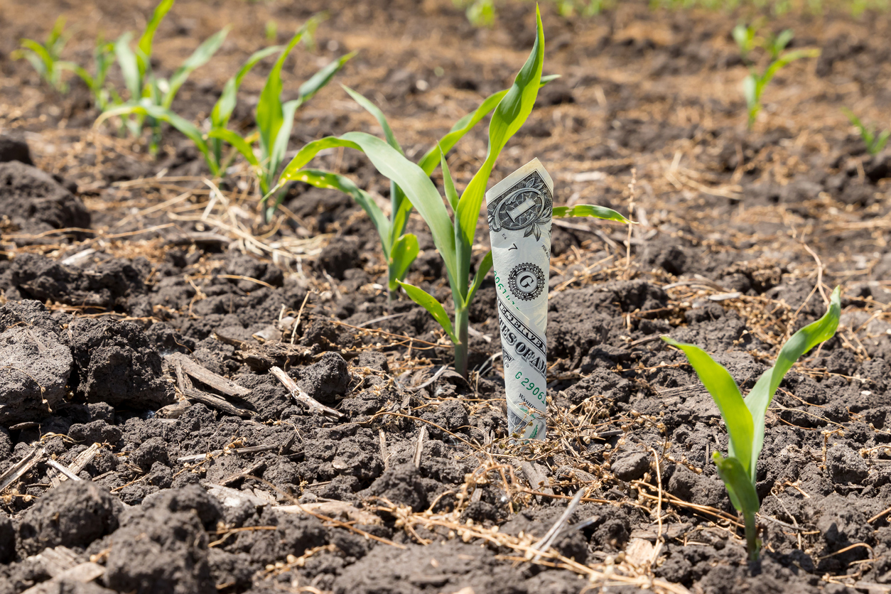 IGPA’s Jonathan Coppess Explores the Relationship Between Farm Bill Programs and Projections for Increasing Reference Prices